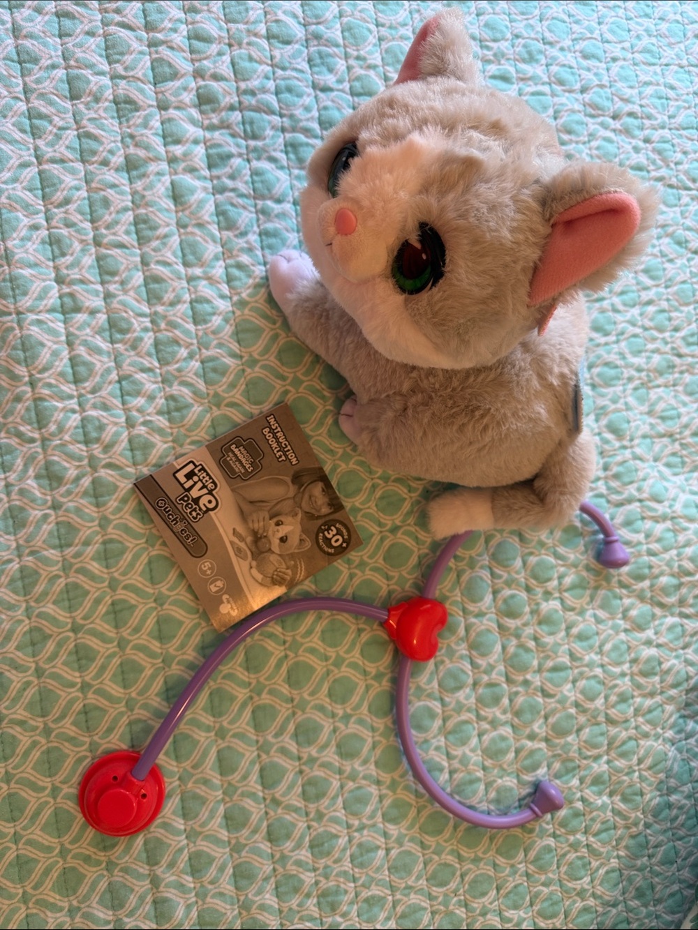 Gray Kitten Plush with Purple Toy Stethoscope